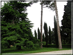 foto Parco di Villa Emo